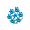 Deluxe Blue Daffodil - Bouquet