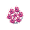 Deluxe Pink Daffodil - Bouquet