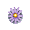 Single Purple Daisy - Bouquet
