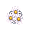 White Daisies - Bouquet