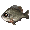 Brown Pebbo Feeder