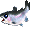 Cool Rainbow Trout