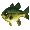 Green Bass