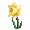 Yellow Daffodil